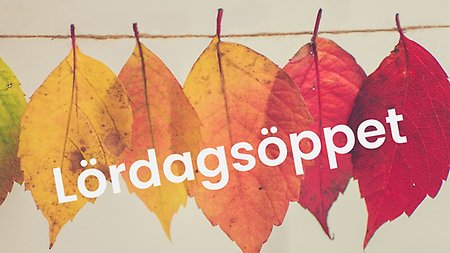 Höstlöv lördagsöppet